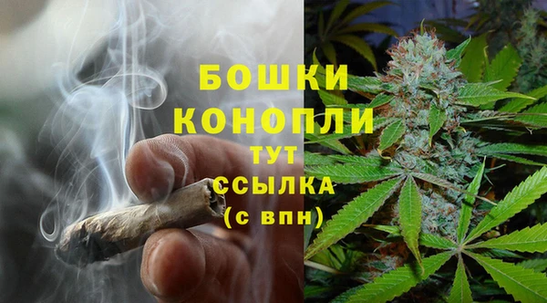 сатива Верхнеуральск