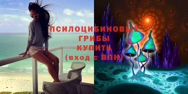 сатива Верхнеуральск