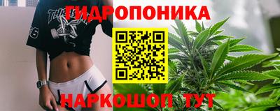 крисы Комсомольск-на-Амуре
