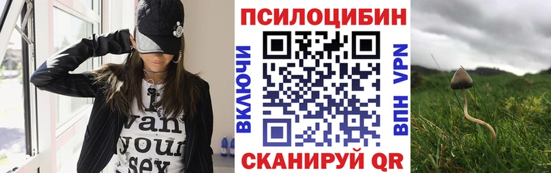 Галлюциногенные грибы Cubensis  shop состав  Рузаевка 