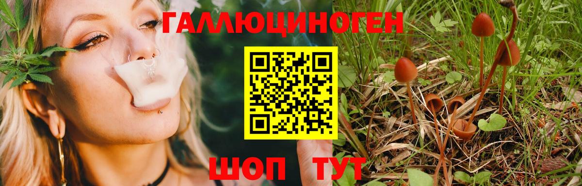 Псилоцибиновые грибы GOLDEN TEACHER Рузаевка