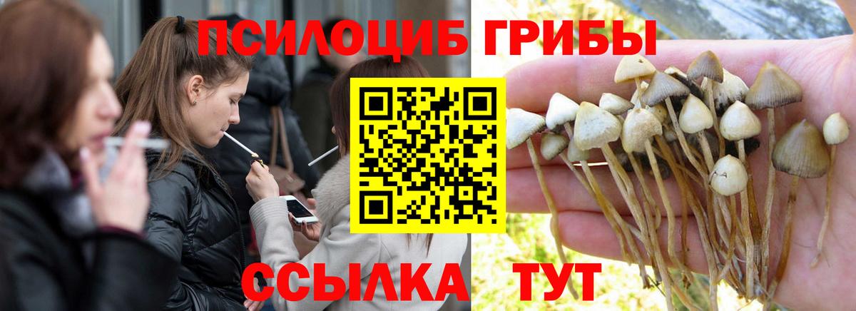 Бошки Шишки  МЕФ кристаллы  ГАШ  COCAIN  Рузаевка  Вход с VPN  Как найти наркотики? 