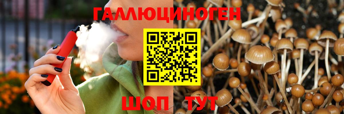 Рузаевка  Галлюциногенные грибы GOLDEN TEACHER  Вход с VPN 