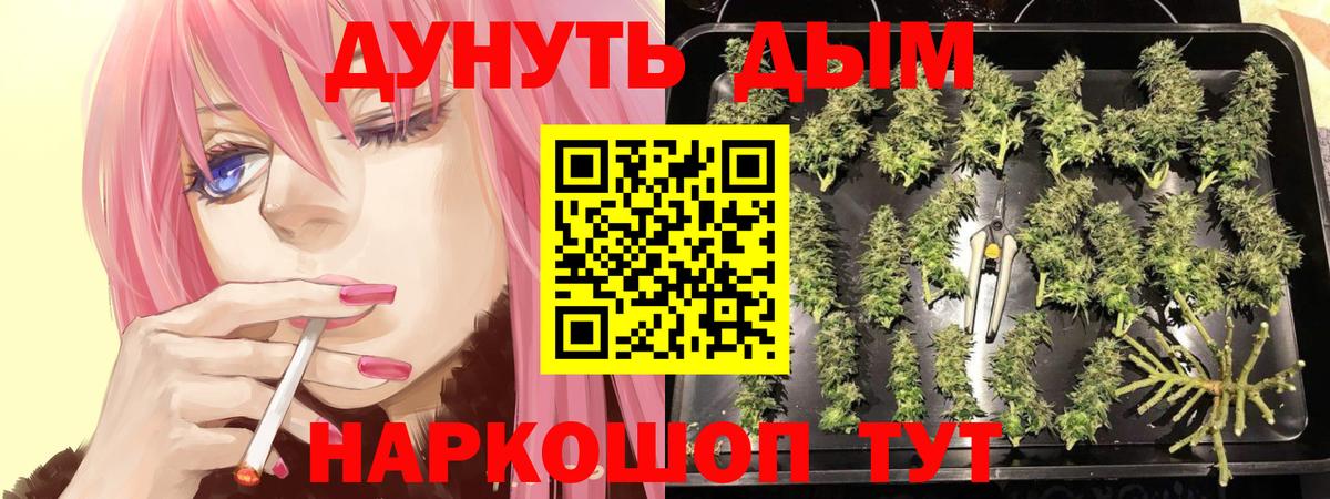 Шишки марихуана ГИДРОПОН  Бошки Шишки семена  Вход с VPN  Рузаевка  Шишки марихуана семена 